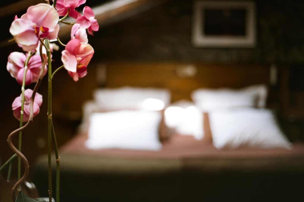 Hostal Cisco De Sans Andora  Pokój zdjęcie